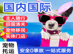 莫高空运代理国际宠物托运 【国
